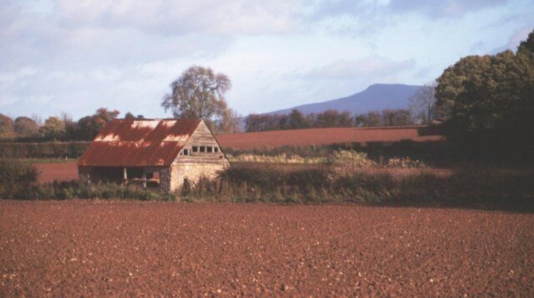Red soil. The country around Hereford is known for red cattle and heavy red soil. Here are some freshly ploughed fields, 20 miles north of the city. The hill is Titterstone Clee. Until recently we used the ruin as a hay barn. The land has since been sold and is rented out as keep. It is no longer arable.