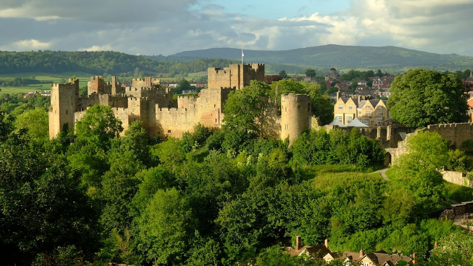 A medieval castle surrounded by lush greenery and a small town.