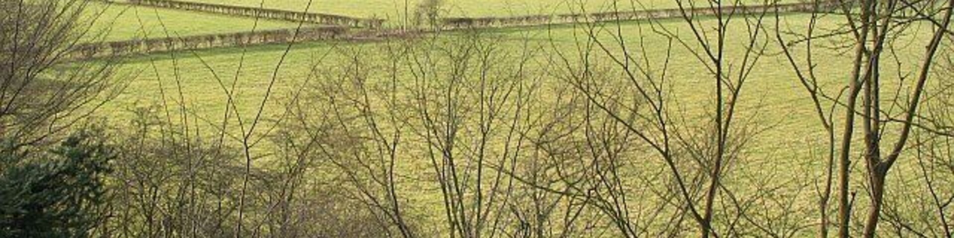 Paisaje rural con campos, árboles y colinas a lo lejos.