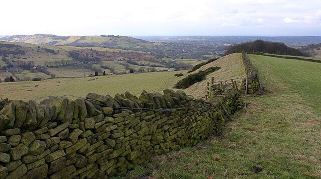 Ridge above Gausie Brow. Fine views west to Bollington and Macclesfield from this superb ridge.