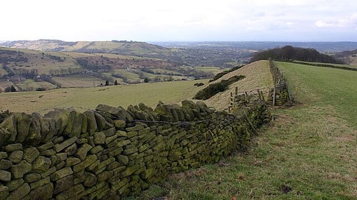 Ridge above Gausie Brow. Fine views west to Bollington and Macclesfield from this superb ridge.