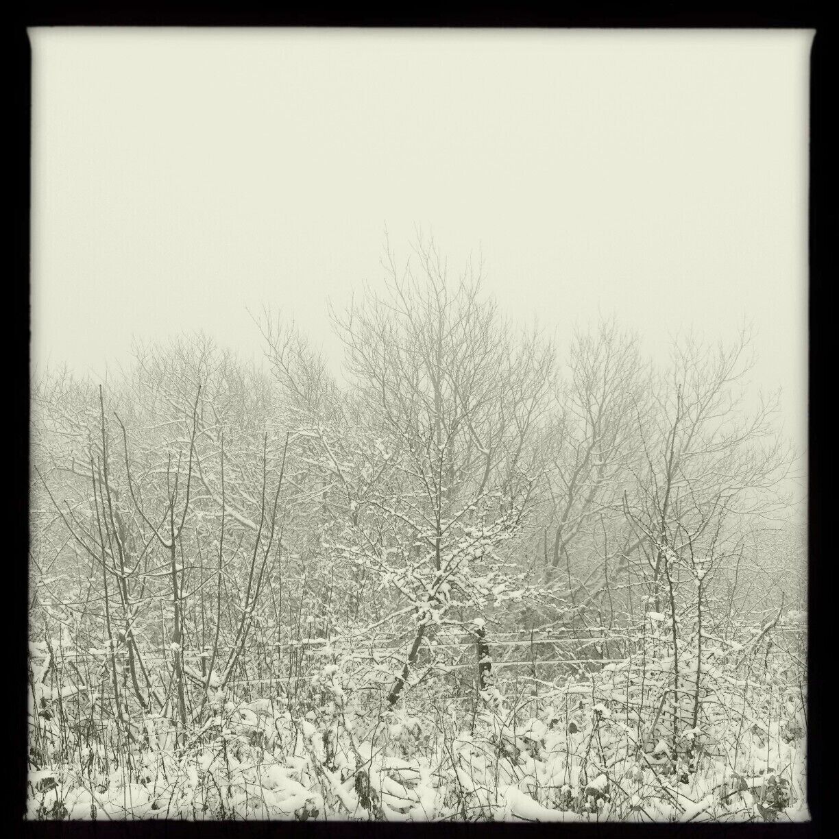 We knew the snow would be beautiful up here so we slipped and slid our way up in the car to get some photos.