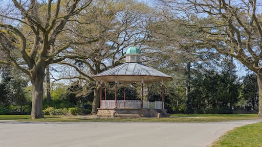 Bandstand in a park with ornate roof