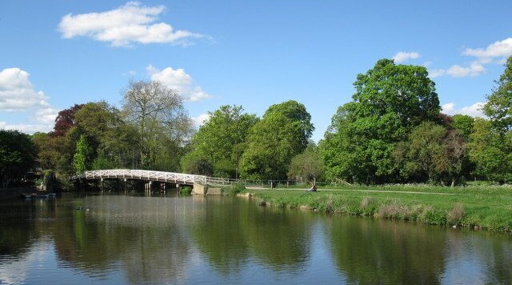 Bridge over Lulle Brook This bridge carries the path to Cookham Lock