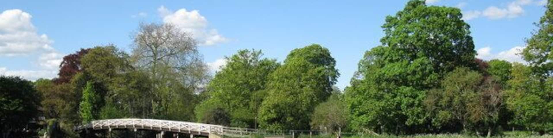 Bridge over Lulle Brook This bridge carries the path to Cookham Lock