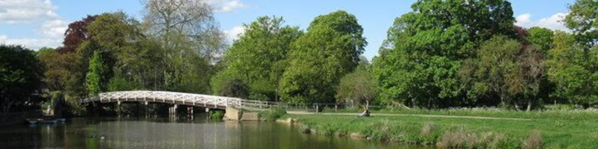 Bridge over Lulle Brook This bridge carries the path to Cookham Lock