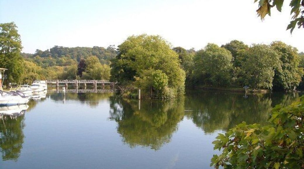 Thames from Cookham Bridge. Looking downstream from the southern end of 1605337. As mentioned in 1605356, the river divides into four channels, and the correct channel for craft is right of centre, clearly marked by a sign on the right of The Lock Cut, so boat users do not have to rely on the old sign lost in the undergrowth on Sashes Island. To the left is a weir on Hedsor Water.