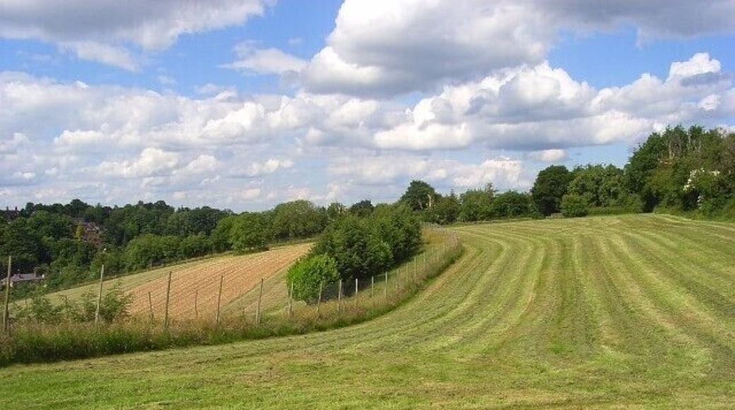 Farmland, Cookham The hillside below Cookham Dean with small ploughed and mown fields.