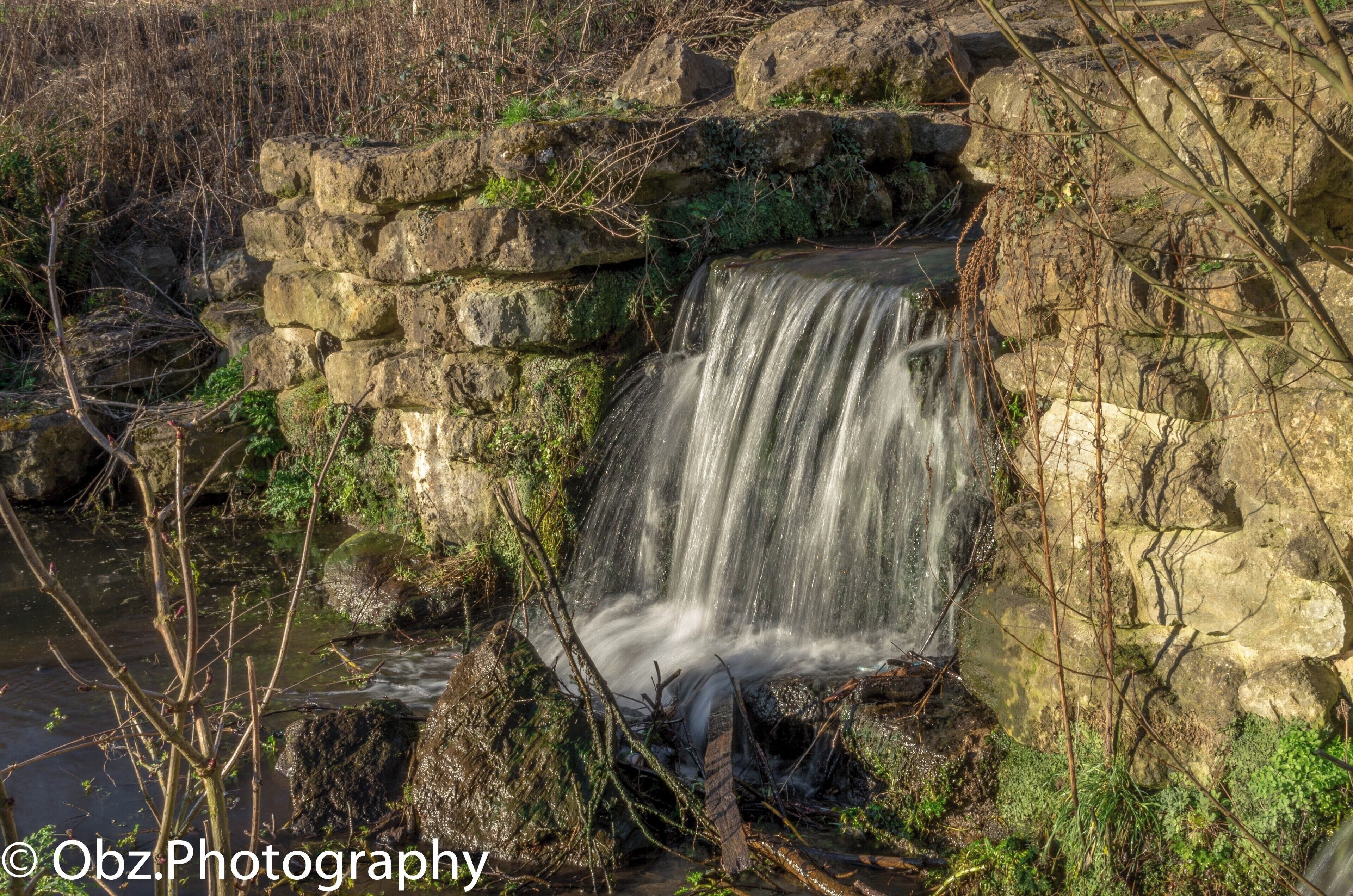 Been around Mote Park all my life, First time I have really taken Photos there