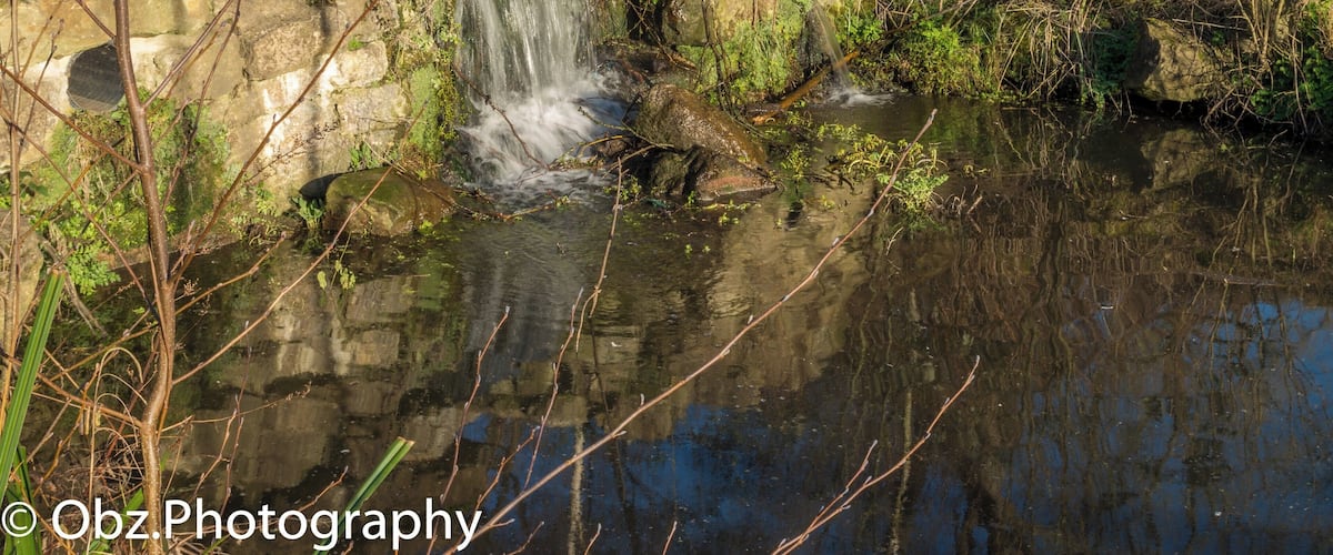 First time taking Photos in a Park I've lived around all my life