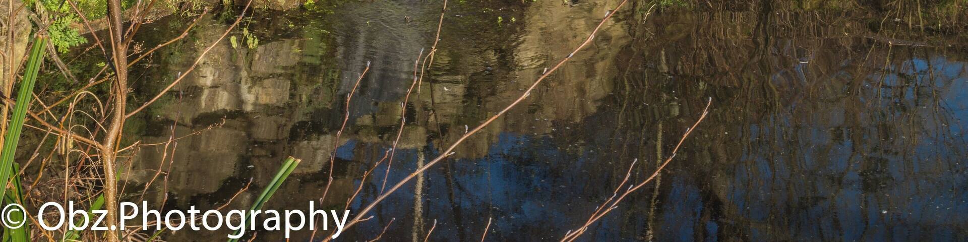 First time taking Photos in a Park I've lived around all my life