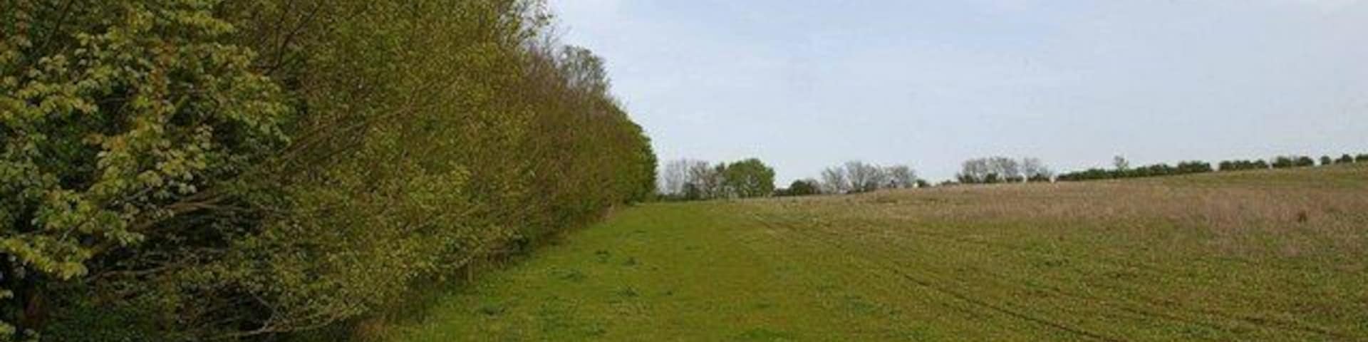 Chigbrough Farm Walk This is a permissive footpath with access until 2011 see http://countrywalks.defra.gov.uk/Default.aspx?Module=CountryWalkDetails&Site=3956