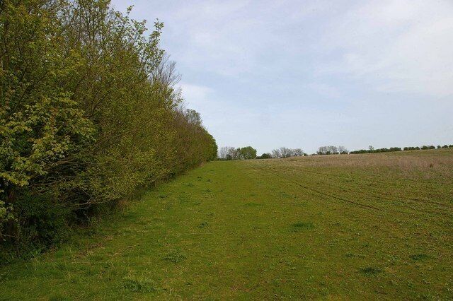 A grassy field with a hedge on the left and a clear sky.