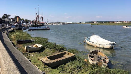 Maldon (salt of the earth)