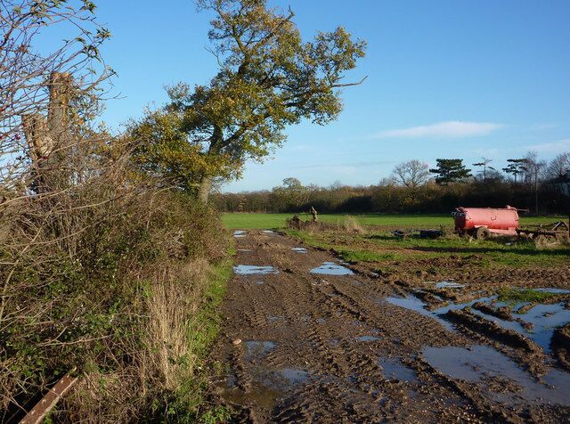 Track near Park Farm The track was muddy after recent rain, in this section of the path used by farm vehicles.