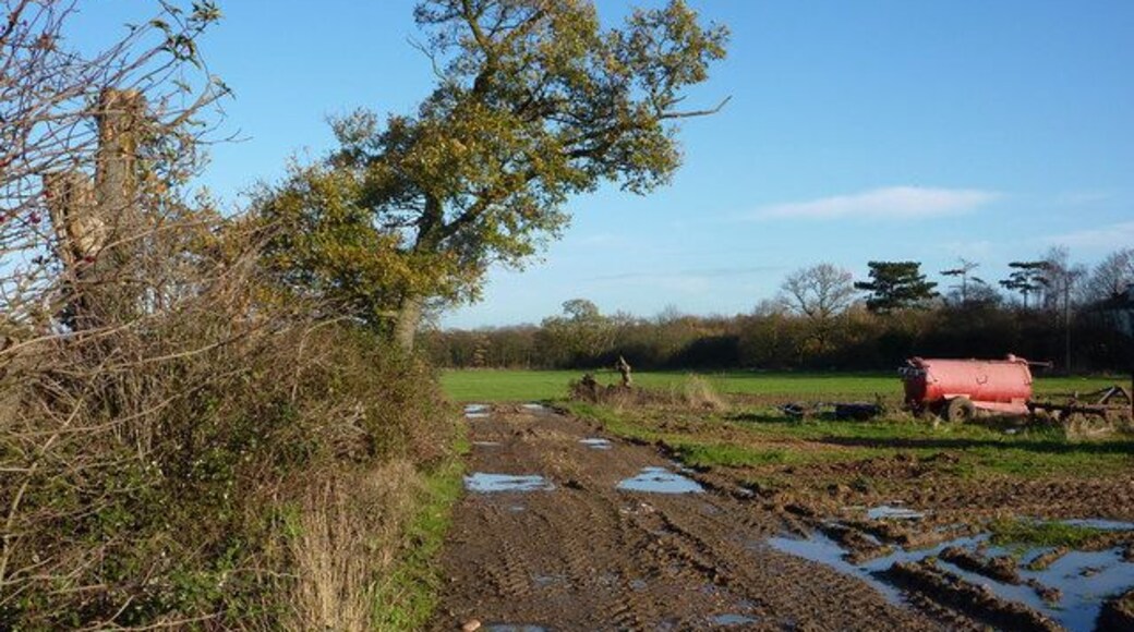 Track near Park Farm The track was muddy after recent rain, in this section of the path used by farm vehicles.