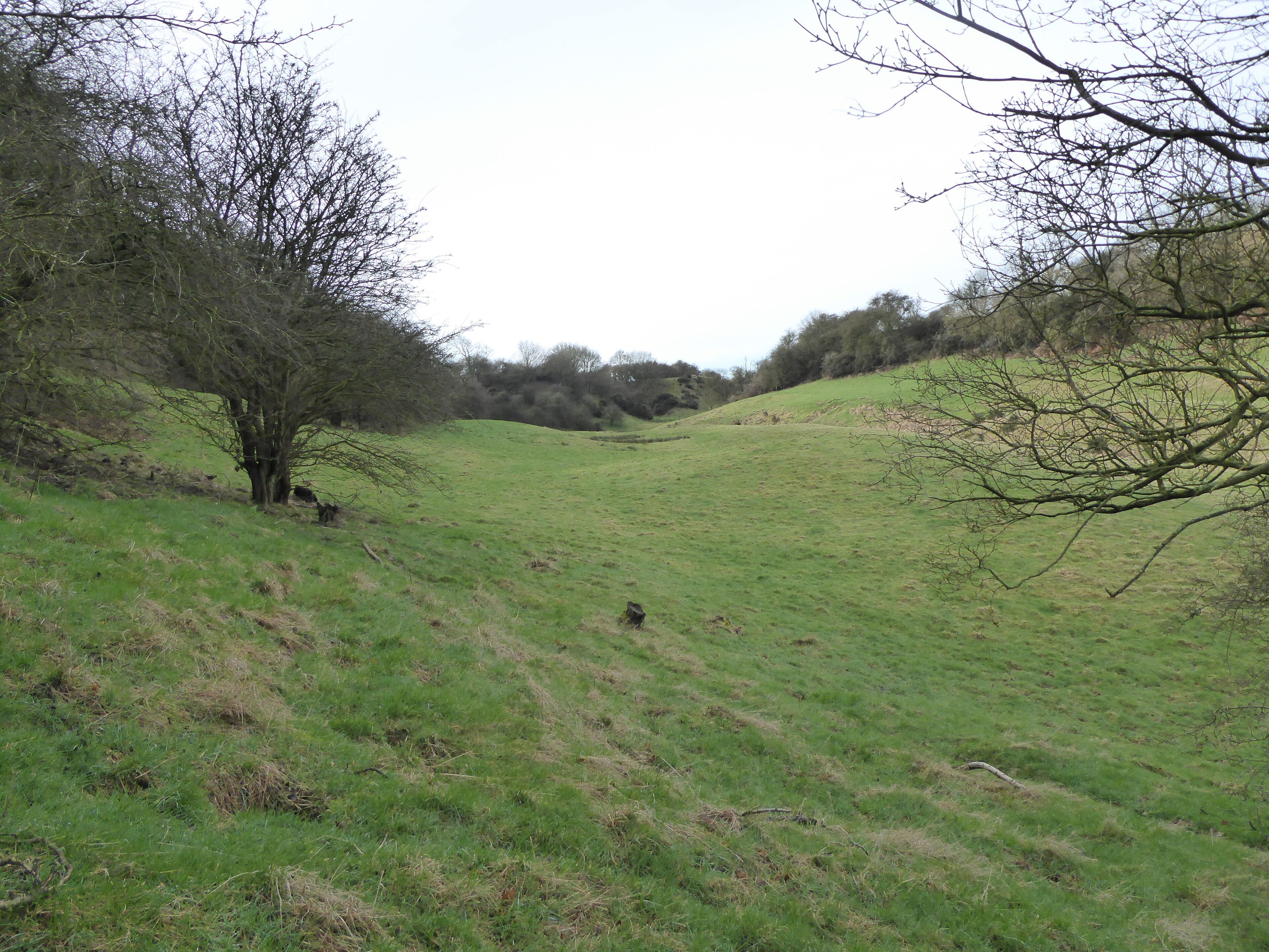 Coombe Hill Hollow is a biological Site of Special Scientific Interest north of Sibbertoft in Northamptonshire.