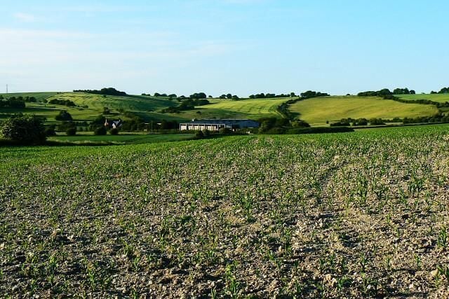 Field, Ogbourne St George Old Chase Road provides the viewpoint. The crop in the field is maize. The farm building in the distance is unnamed on the maps.