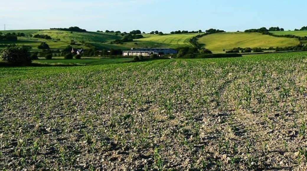 Field, Ogbourne St George Old Chase Road provides the viewpoint. The crop in the field is maize. The farm building in the distance is unnamed on the maps.