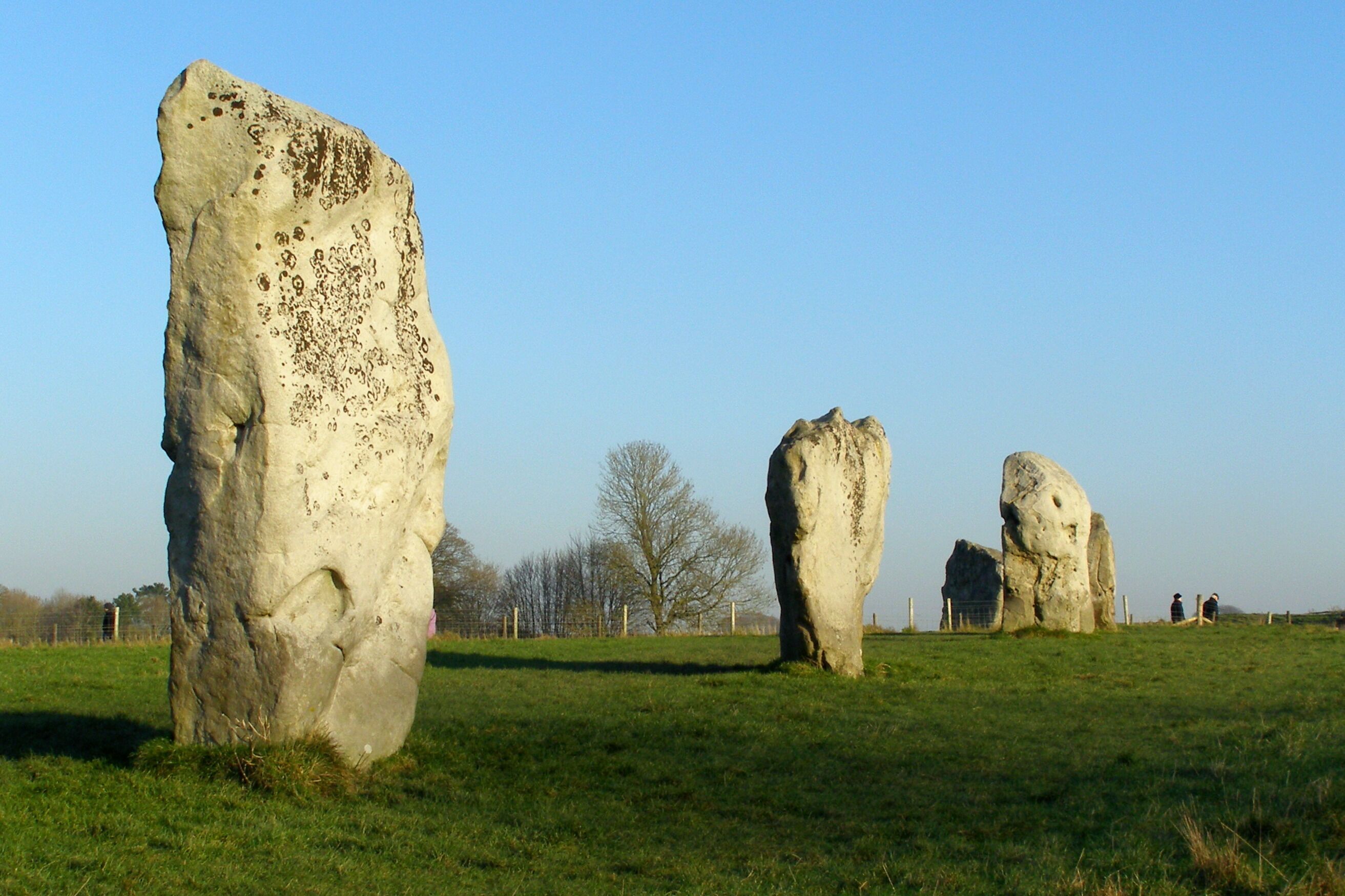 Sarsen stones in the south-west quadrant of Avebury henge's Great Circle. From the left: stones 8, 7, 6, and 5.
