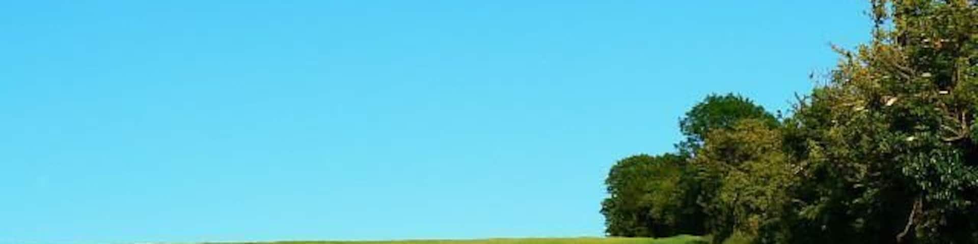 Barley, Ogbourne St George The barley is growing on rising land alongside a byway to the right of the hedge.