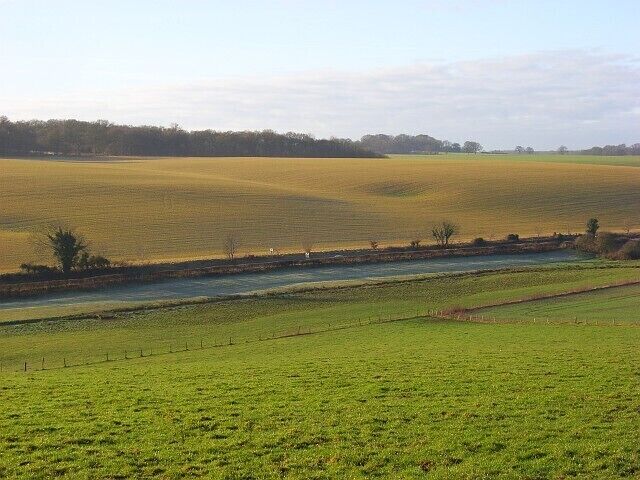 Farmland, Froxfield In the foreground is pasture (cattle were congregated to my left) whereas across the valley are arable fields. The crop there had a very yellowy appearance which I can't explain. The low sun also shows up a crater. Maps don't give an explanation for that - it may be a old chalk-pit or possibly a bomb crater. There is a frosty strip alongside the A4.