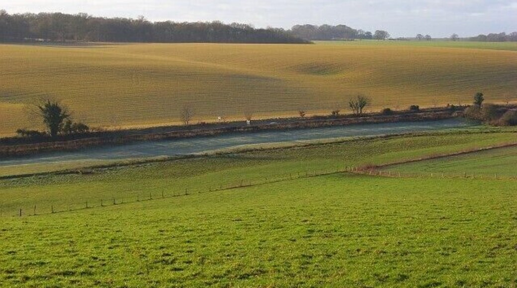 Farmland, Froxfield In the foreground is pasture (cattle were congregated to my left) whereas across the valley are arable fields. The crop there had a very yellowy appearance which I can't explain. The low sun also shows up a crater. Maps don't give an explanation for that - it may be a old chalk-pit or possibly a bomb crater. There is a frosty strip alongside the A4.