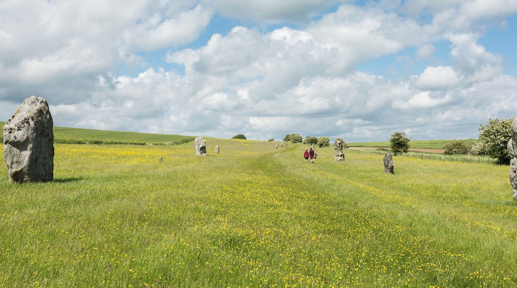West Kennet Avenue facing north-west towards Avebury.