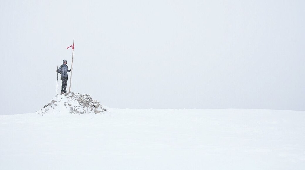 Springtime in Canada.
The top of Prairie Mountain near Bragg Creek, Alberta.
#snow #cold #mountains #hiking #alberta #explorealberta #canada