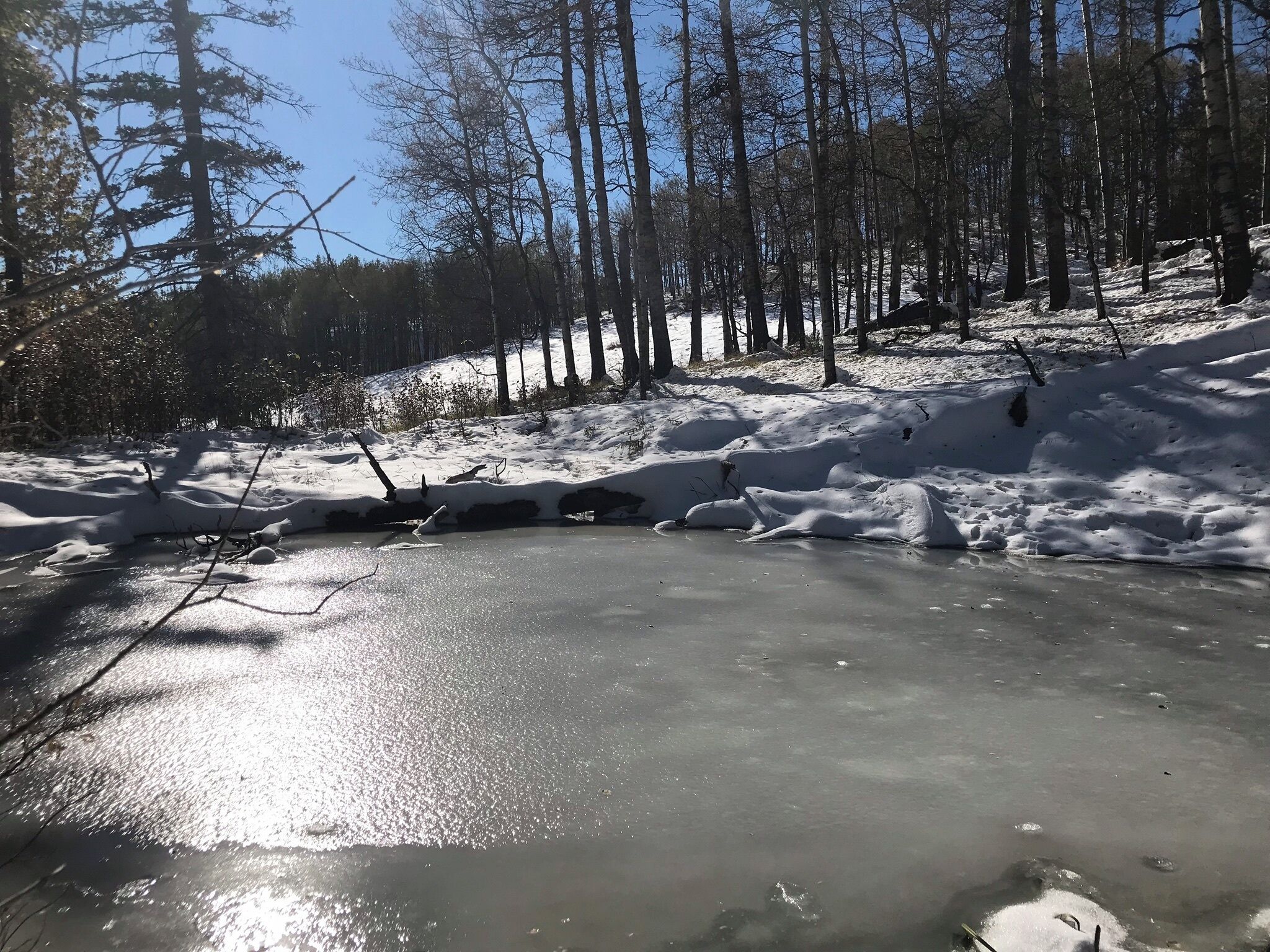 “Life is only a flicker of melted ice.” 

― Dejan Stojanovic, The Sun Watches the Sun

Everyone, and I mean everyone, should take more walks.  Walk, observe, and breathe.  Breathe in the flickers of melted water because you will turn back into ice sooner rather than later.