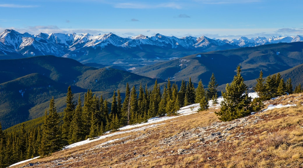 View from Prairie Mountain, Alberta