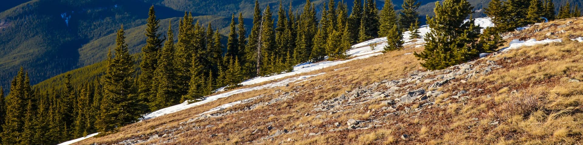 View from Prairie Mountain, Alberta