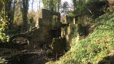 The ruins of Lumsdale falls