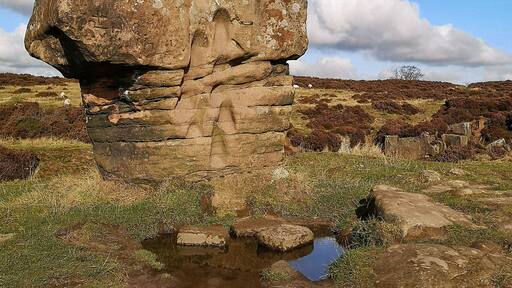 Standing proud on the edge of the Moor & I found graffiti from the 1850's carved into it