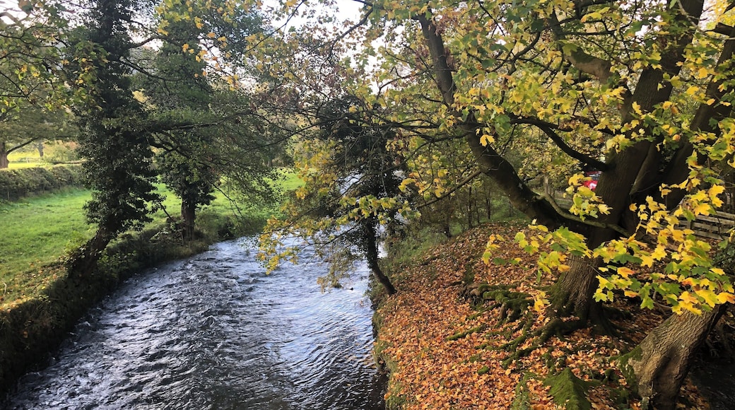 Beautiful day, in a beautiful Derbyshire village.