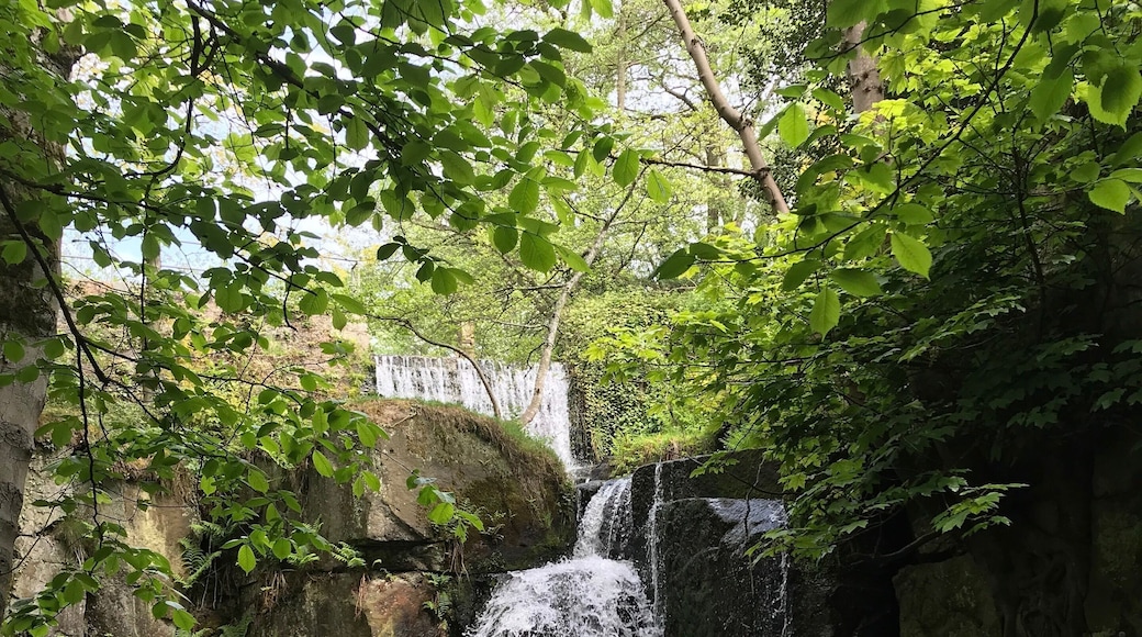 Walk down Lumsdale valley