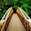 A wooden bridge with a metal railing, surrounded by lush green foliage.