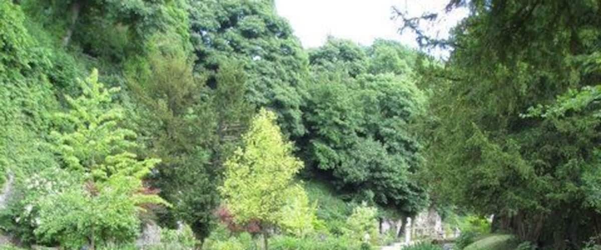 Bonsall - Cascades Garden Centre Open Gardens Day - 14th June 2008.