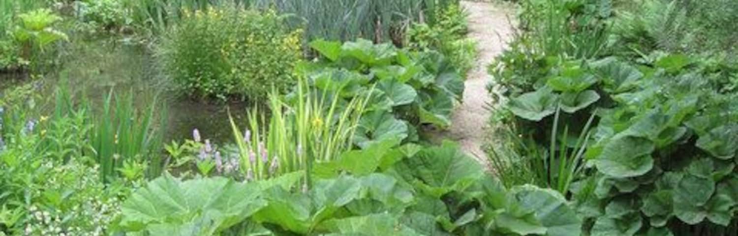 Bonsall - Cascades Garden Centre Open Gardens Day - 14th June 2008.
