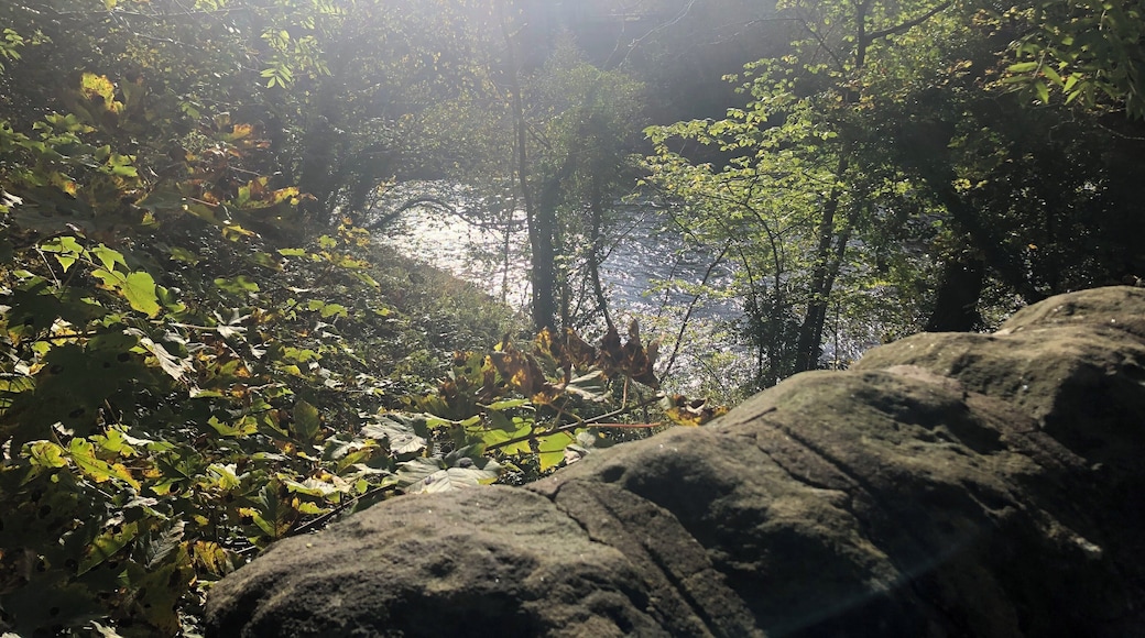 Beautiful day, in a beautiful Derbyshire village.