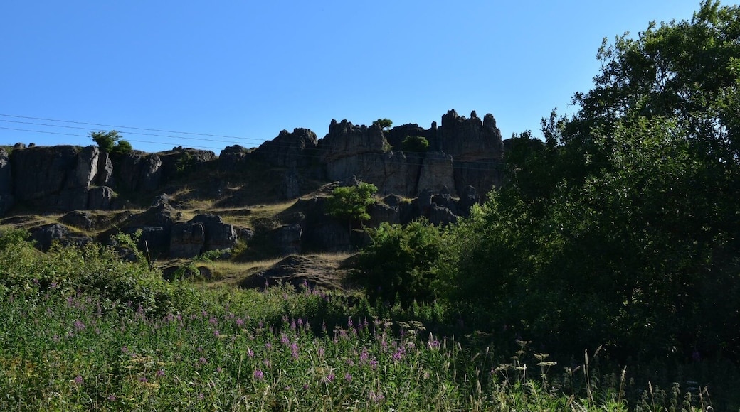 A beautifully sunny walk last week off the High Peak Trail.