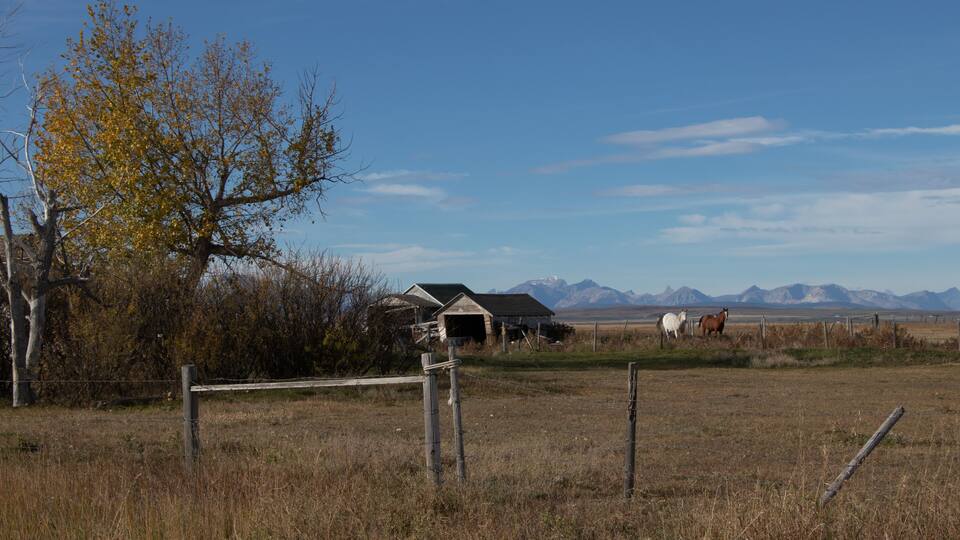 A rural landscape with a barn, horses, and mountains in the background.