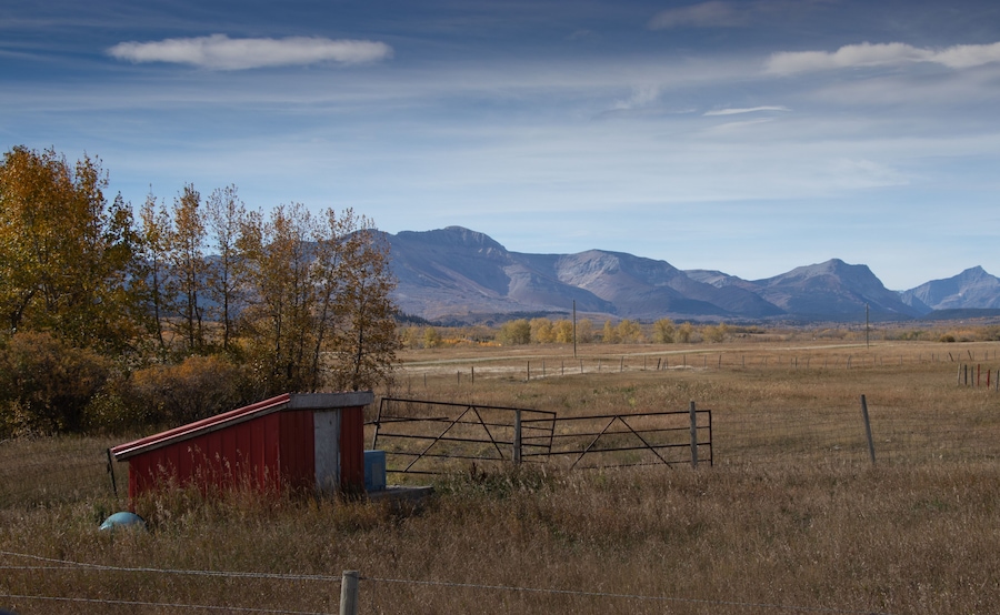A drive in Cardston County Alberta Canada