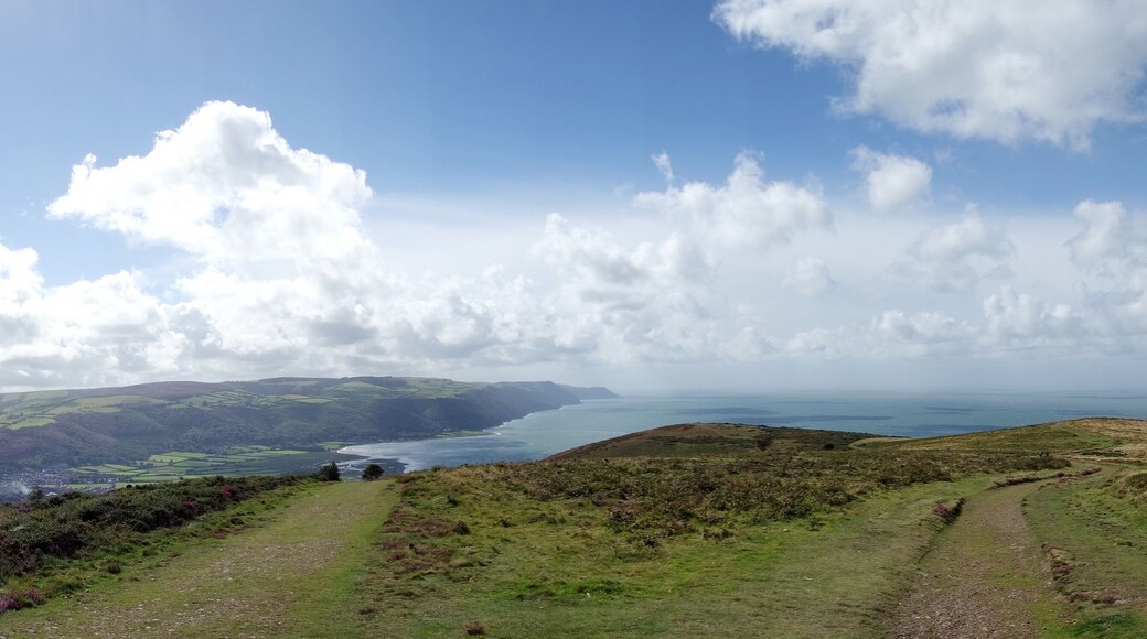 View from Selworthy Beacon, England UK near Exmoor and west of Minehead on the south west coast path with purple heather