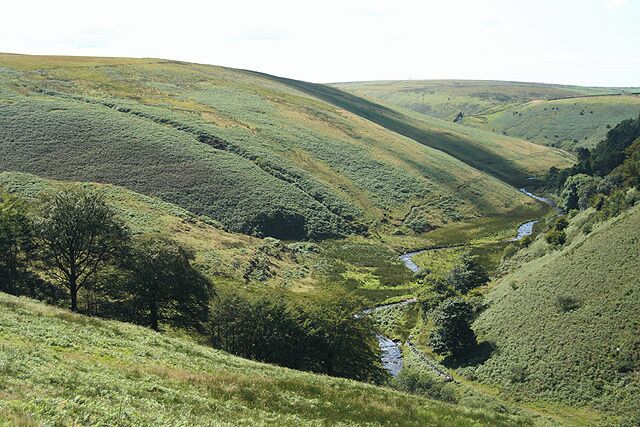 Exmoor: river Barle Looking west above Cornham Brake. Seen from the South Molton road near Simonsbath