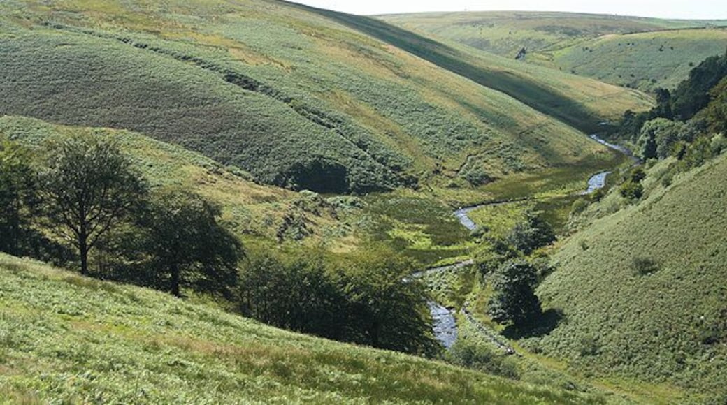 Exmoor: river Barle Looking west above Cornham Brake. Seen from the South Molton road near Simonsbath