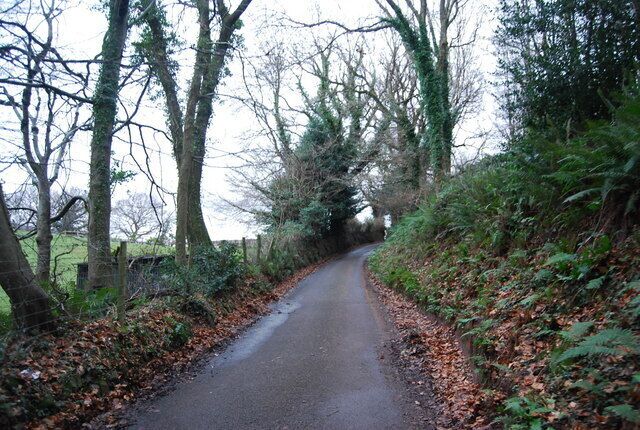 A narrow country road flanked by trees and foliage.