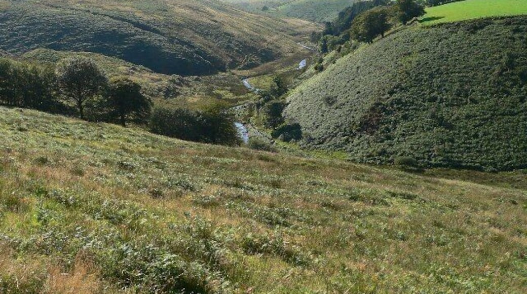 River Barle Upstream of Simonsbath. Looking West