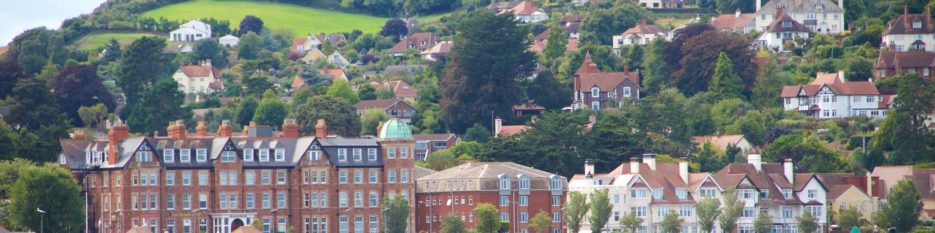 A coastal town with historic buildings, a rocky beach, and a hill with houses.