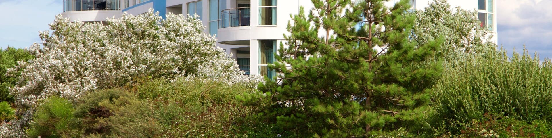 Minehead showing modern architecture